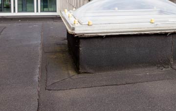 disadvantages of Penybedd flat roofs